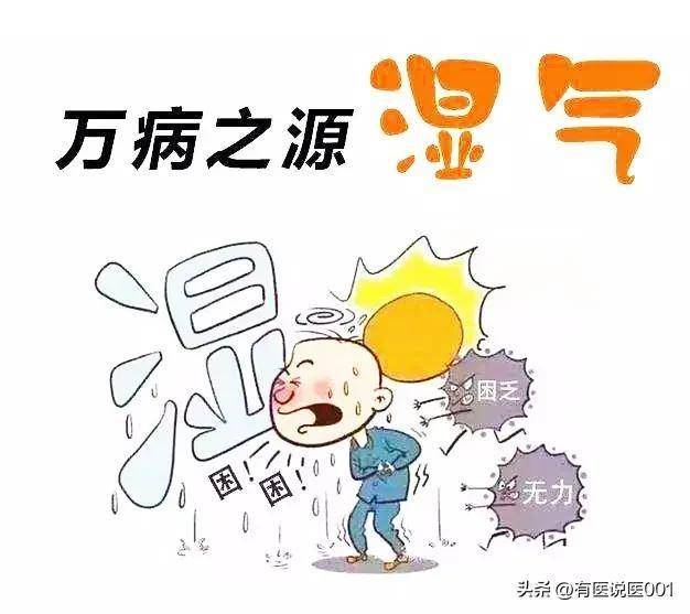 浑身发沉、口气重？这碗祛湿茶煮起来，喝完浑身轻快