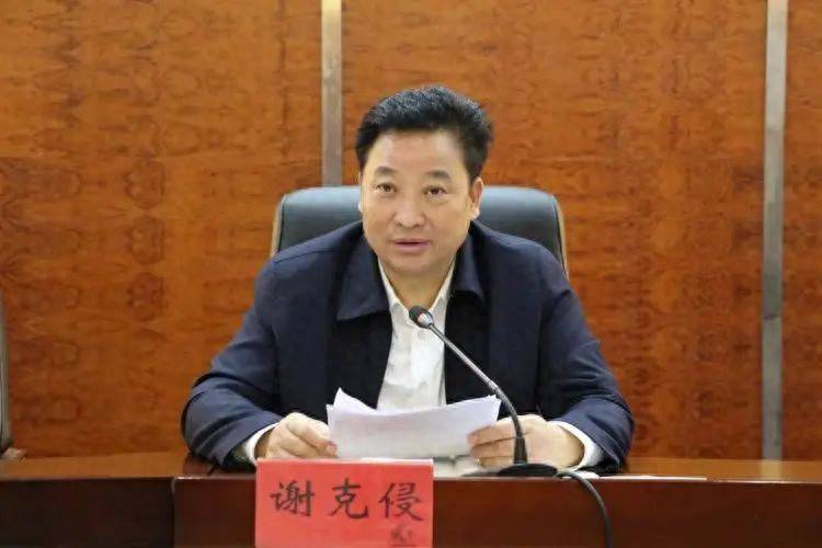 谢克侵，主动投案