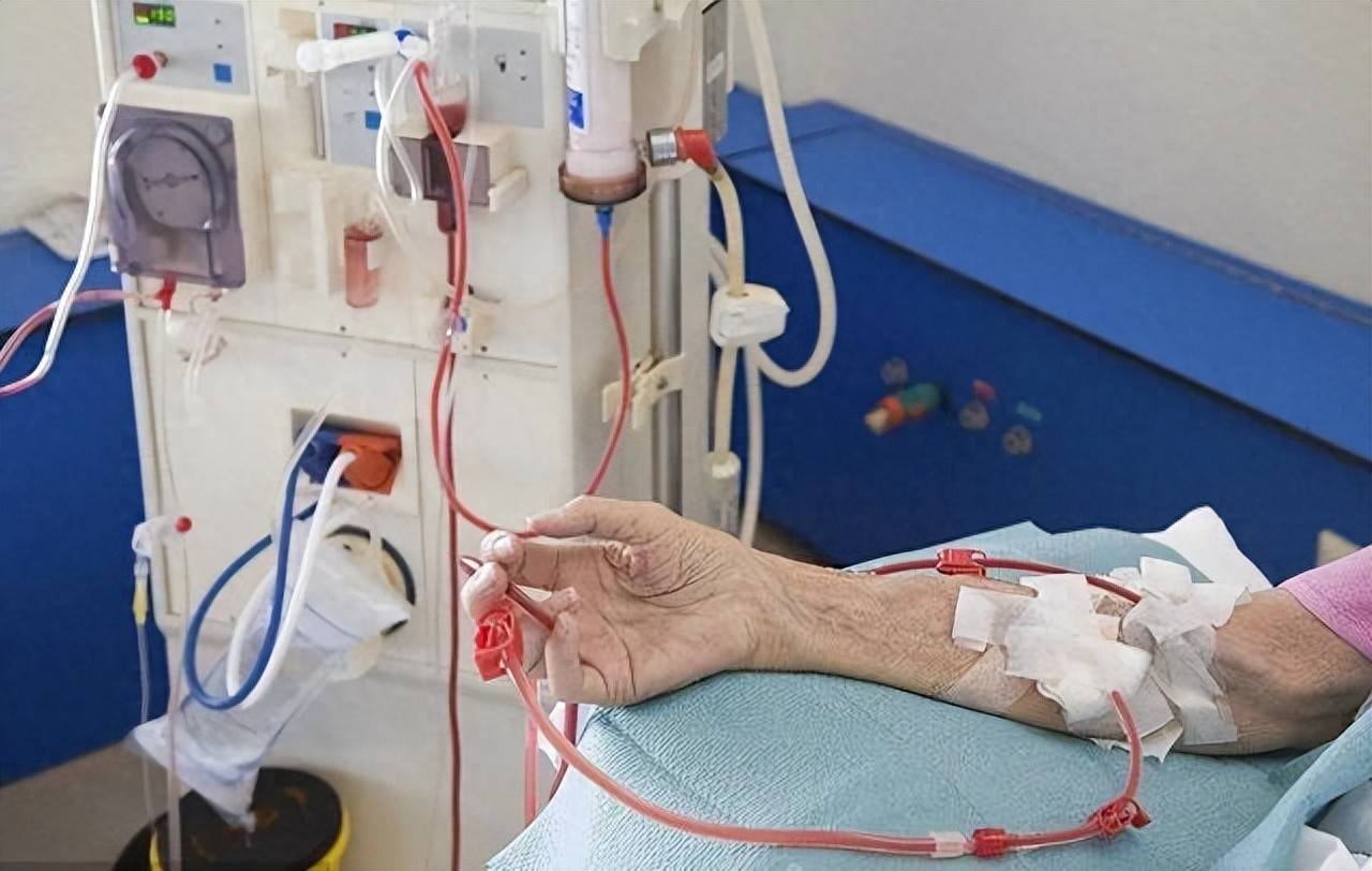 【认识尿毒素】肾友们所需营养素补给