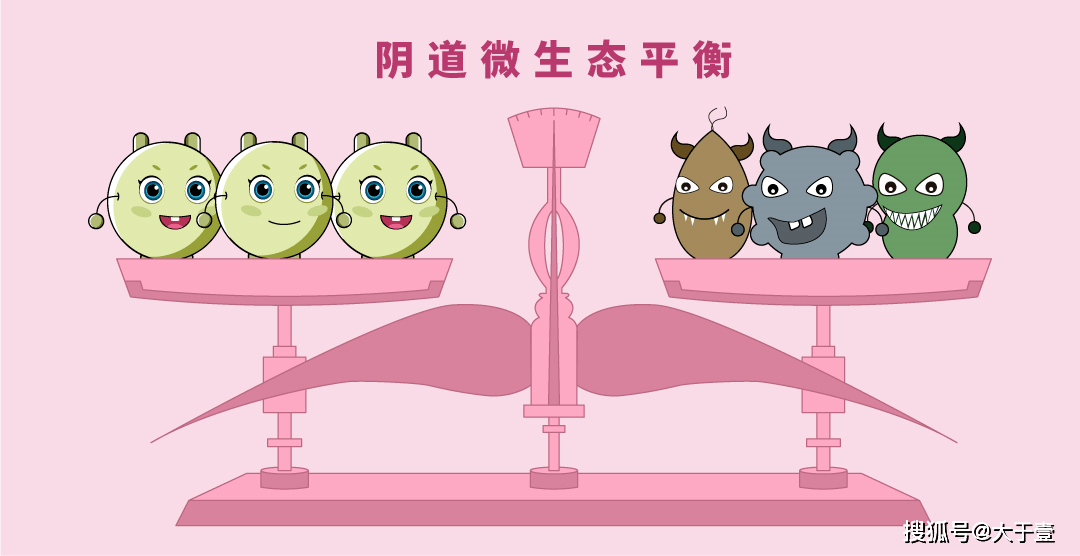 私密益生菌抑菌片——女性私密护理的新选择，呵护你的私密健康！