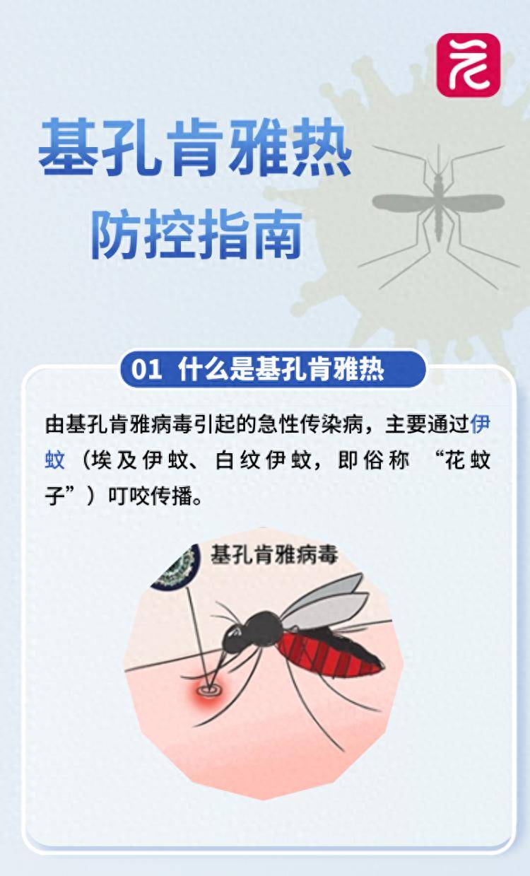 确诊超2000例，基孔肯雅热如何预防？有什么症状？