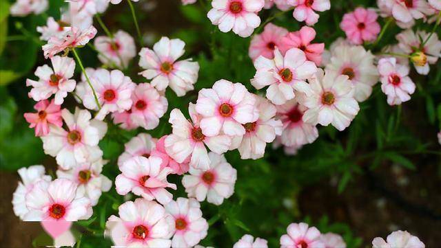 男生是不是真的喜欢你，从这一件事当中能看出来