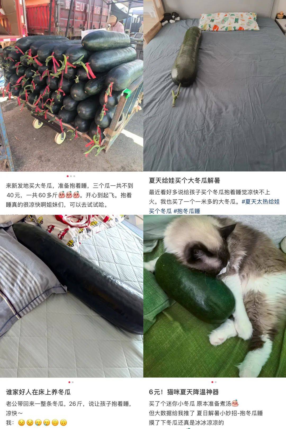 “抱冬瓜睡觉”突然走红，网友：我小时候抱过！医生紧急提醒