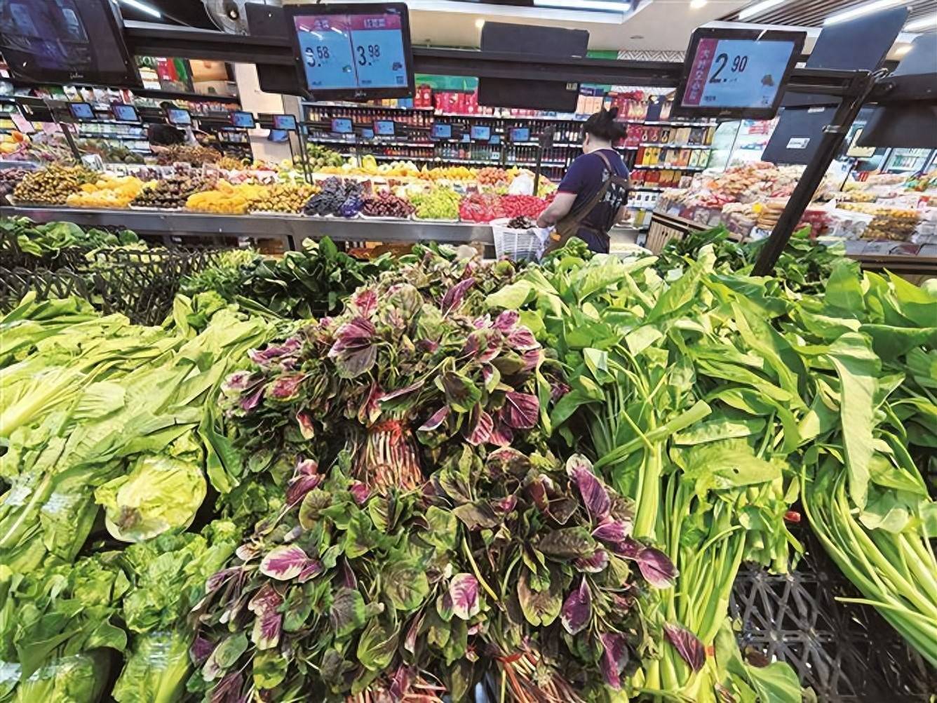 夏天苋菜正当季，多食用可护眼补钙抗衰老！能补血吗？