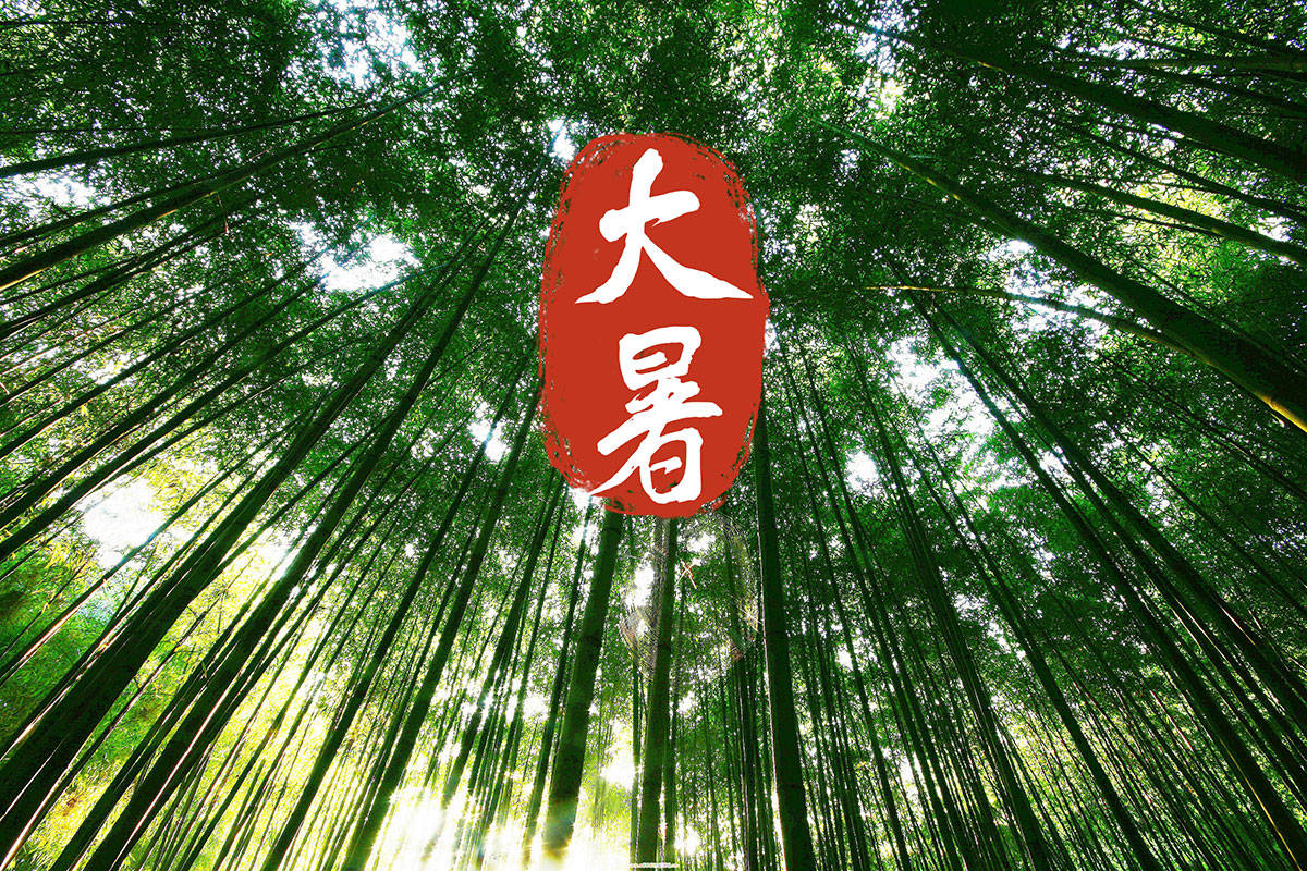 原创            今日大暑，少吃冷食和热食，多吃这4样，益气养阴，为秋冬做准备