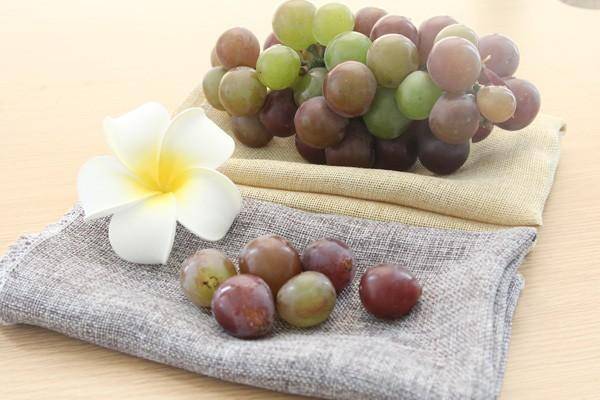 想养肝?这些食物快“收入碗中”