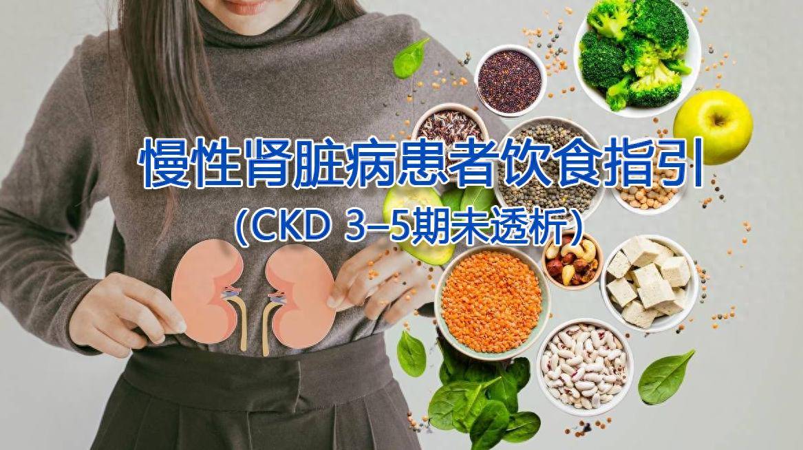 慢性肾脏病(CKD 3–5期未透析)患者饮食指引