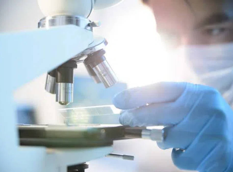 自闭症12家权威食物不耐受检查大概需要多少钱（附2025年收费标准）