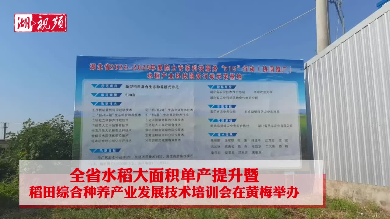 小龙虾领衔“一田多收” 湖北稻田综合种养规模多年蝉联全国第一