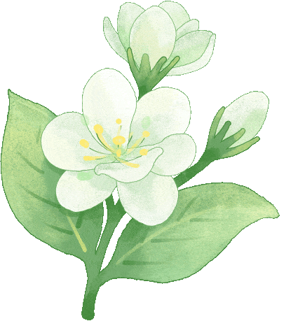 大暑 | 消暑热,祛风寒,养生重点快收藏→