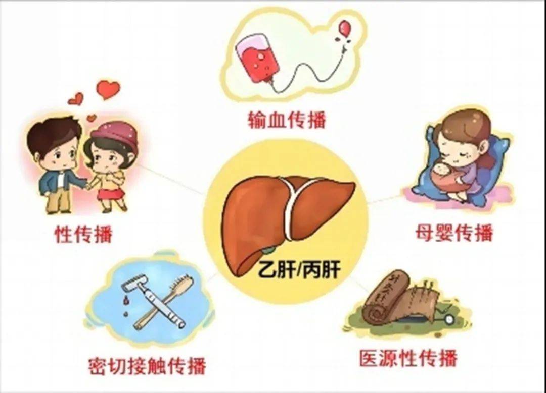 【医学科普】世界肝炎日丨做到这“四要”，远离 “沉默的杀手”——肝炎