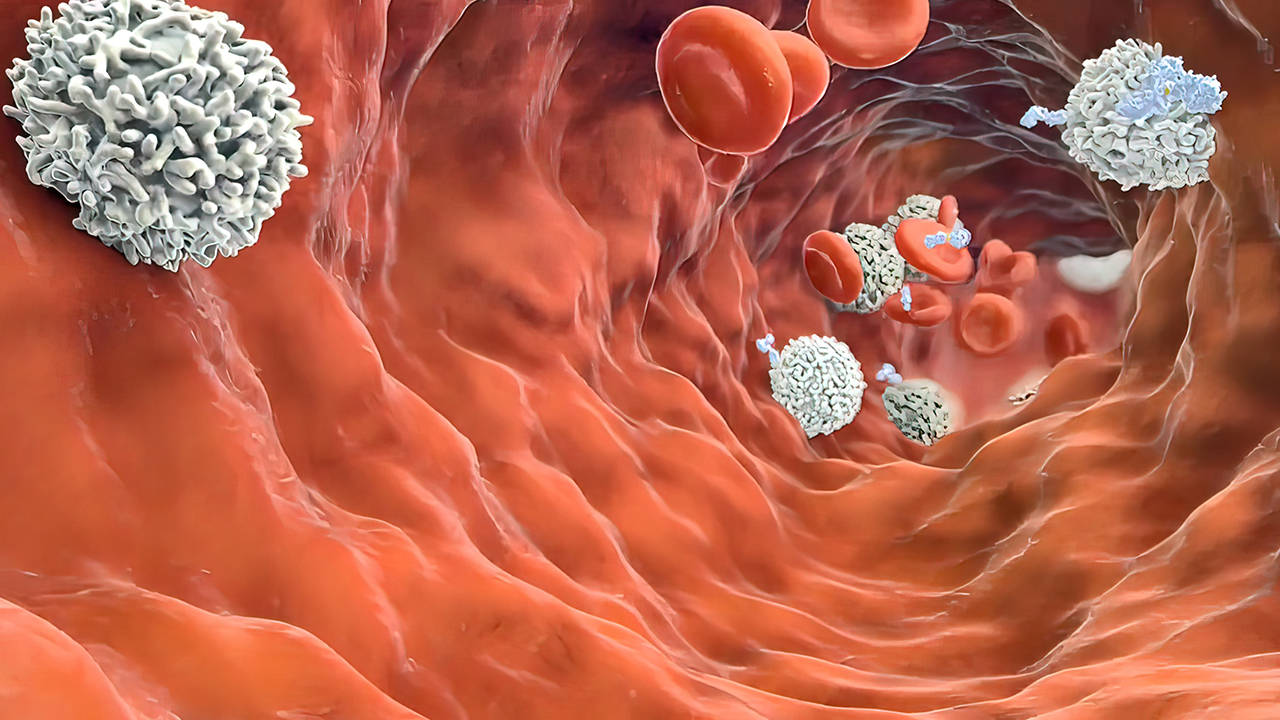 小细胞肺癌中医治疗法？如何治呢？