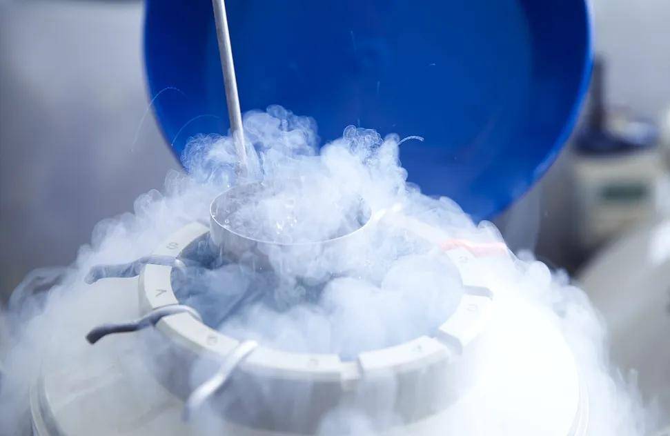 生育力保存什么时候做？错过时机可能白费力气