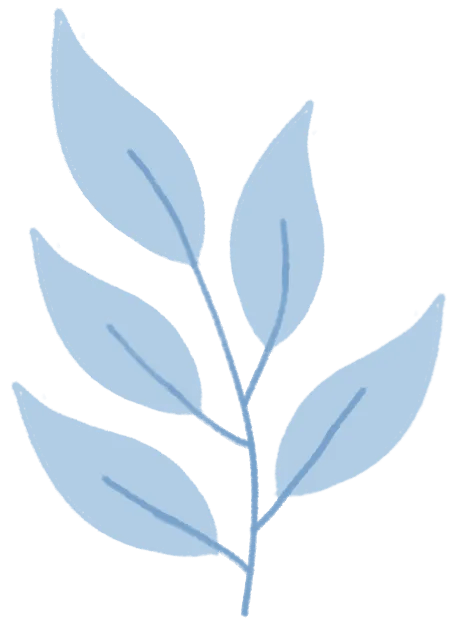 湖北省2025年本科提前批、艺术本科统考批和体育本科批征集志愿公告