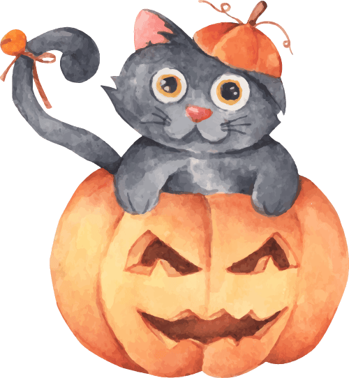 看起来平平无奇的南瓜藤，不仅好吃还好处多多~你爱吃吗？