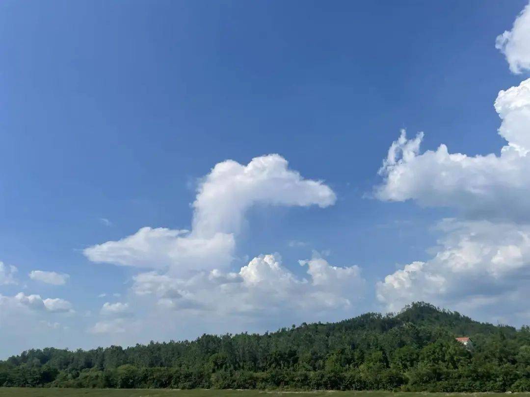 高温42℃+！明天是湖北今年来最热的一天，少出门！