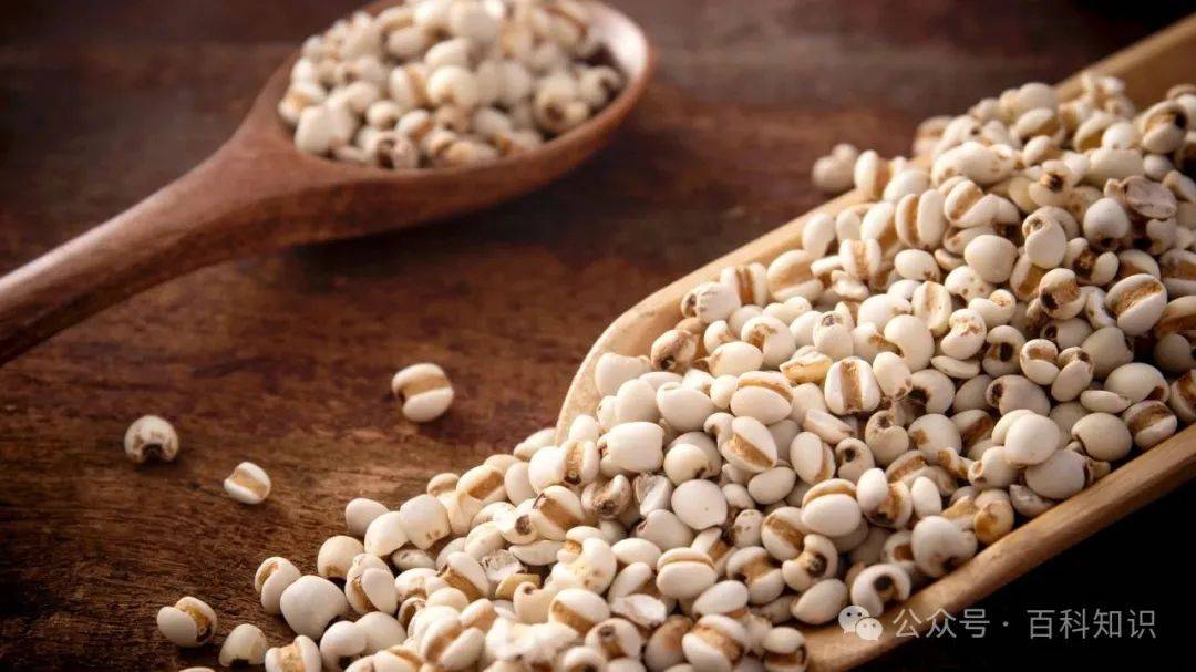 薏米：谷物中的“养心药”