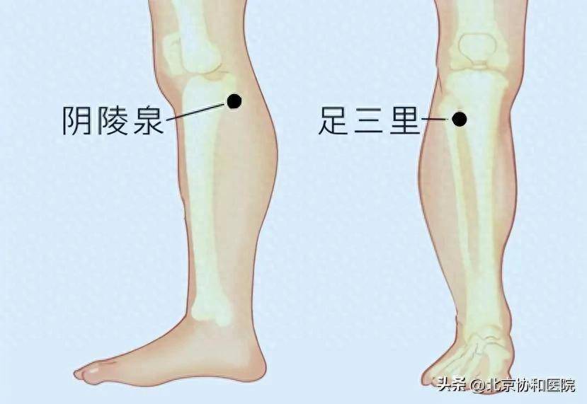时令节气与健康 | 入伏之后遇大暑，这样做吃好睡好