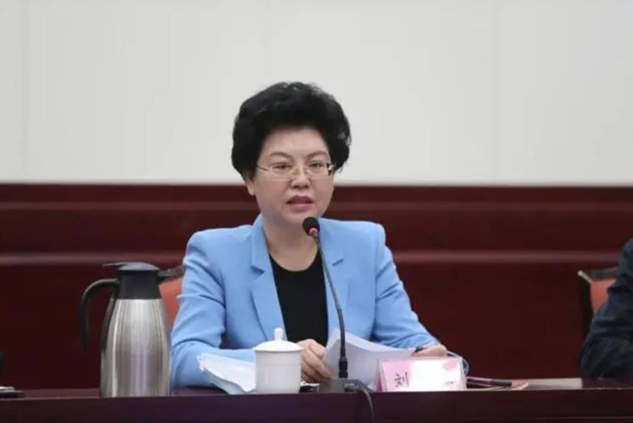 极目政情丨65岁正部级“女老虎”刘慧被查，曾长期在宁夏工作并担任政府主席