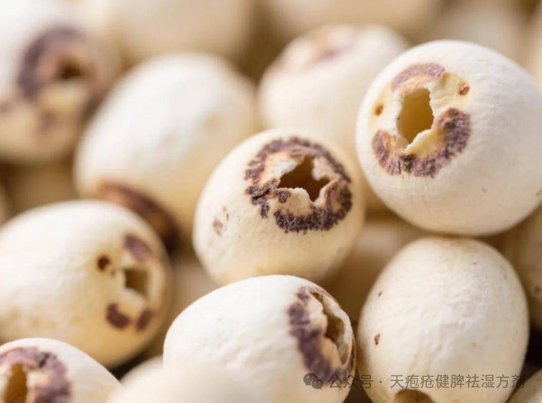 最适合天疱疮患者的食物，营养丰富还能稳定病情！