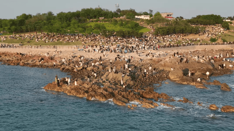 为年轻人拉满情绪价值，青岛正在调动自己的“情绪”