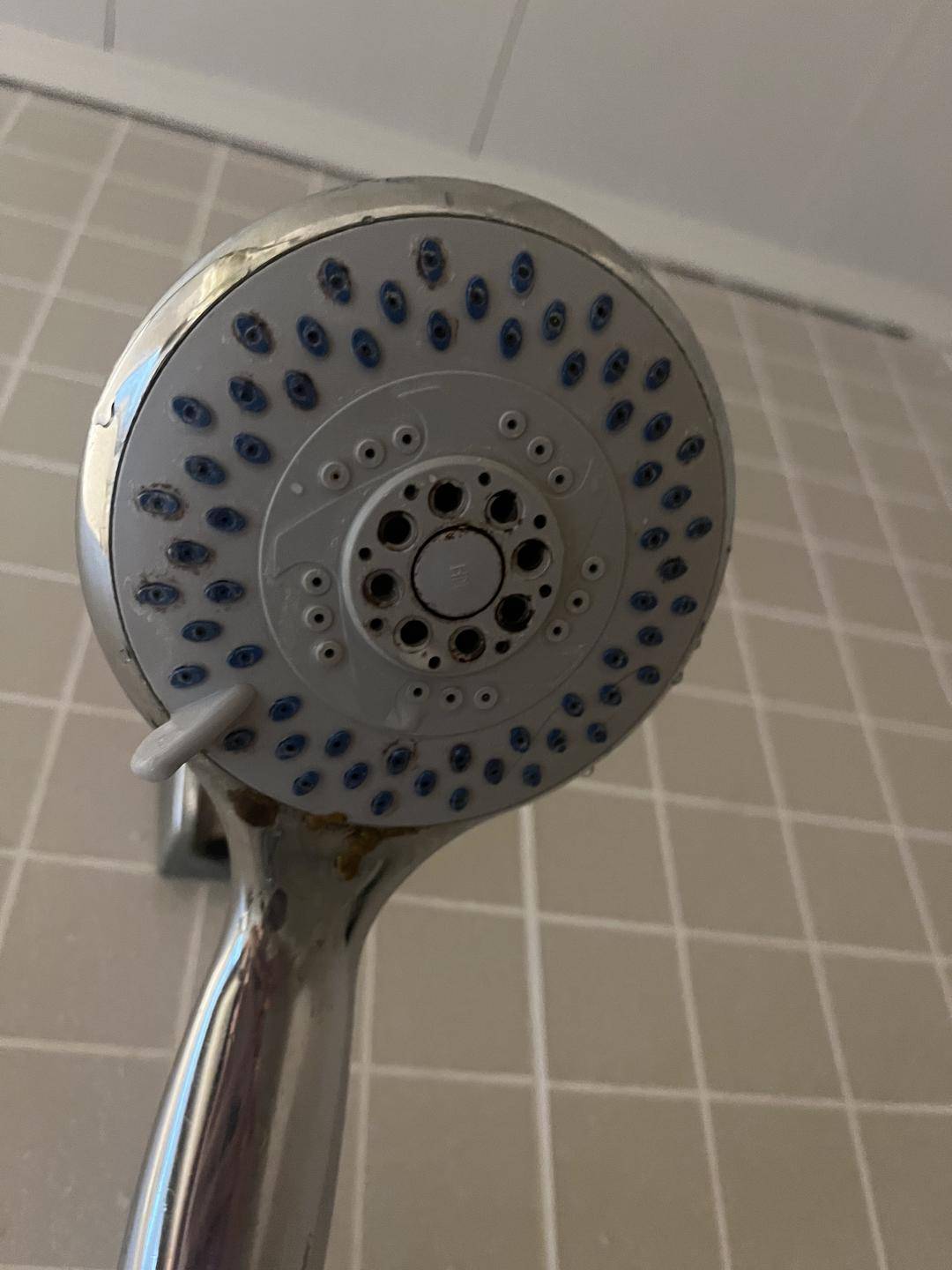 女子称入住锦江之星酒店发现“花洒有排泄物”，店长称保证房间没问题 相关部门介入调查