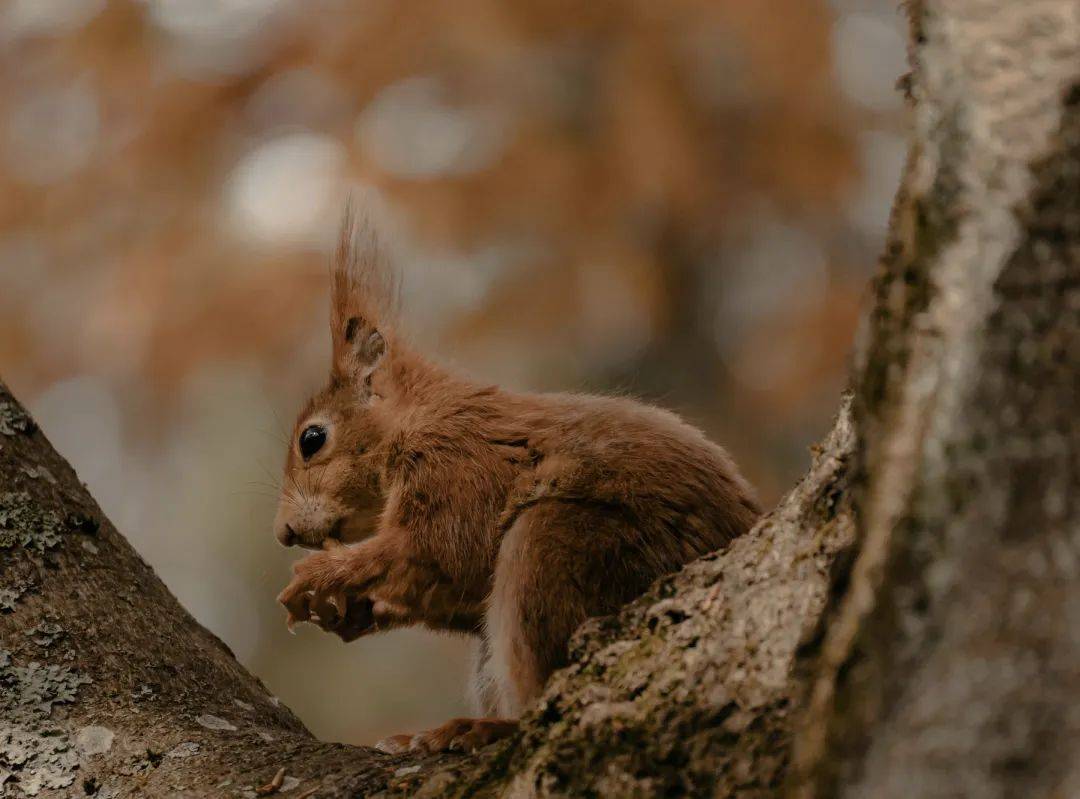 “赵露思抑郁”刷屏：“微笑抑郁”和“假抑郁”如何区别？