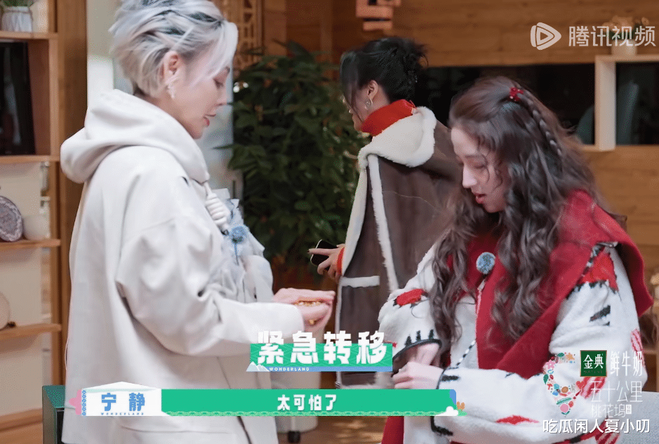 原创            宁静变形记惊现桃花坞，惹哭欧阳娣娣，真相令人震惊