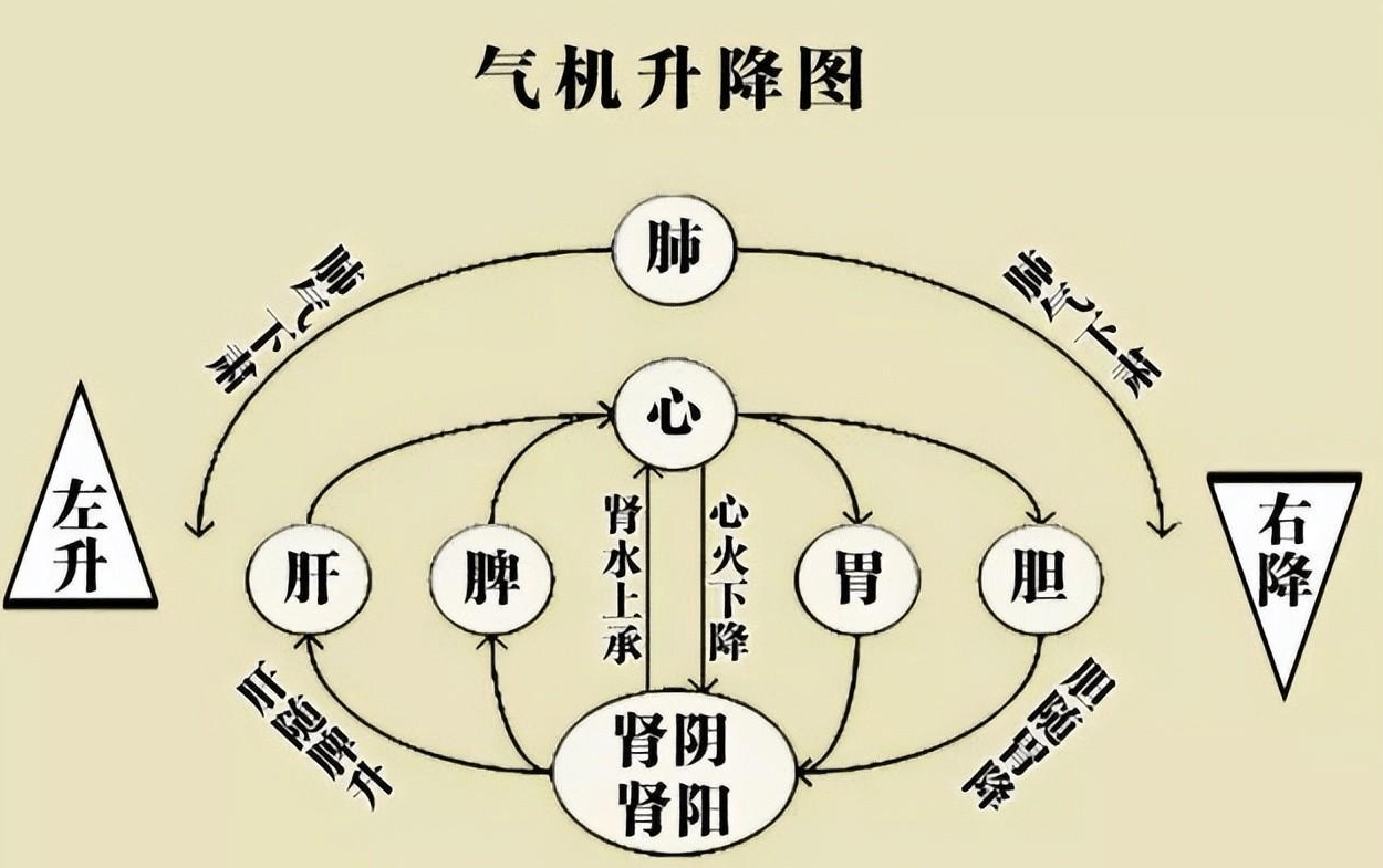 揭开中医养肝的神秘面纱