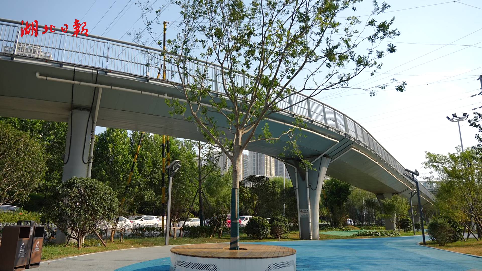 见缝插绿焕新颜，东西湖解锁居民休闲新场景