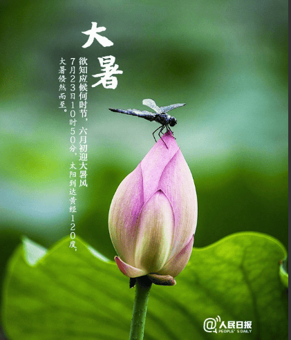 明日大暑！正是一年中阳气最旺、最热的时候，谨记“4要点、6个一”！