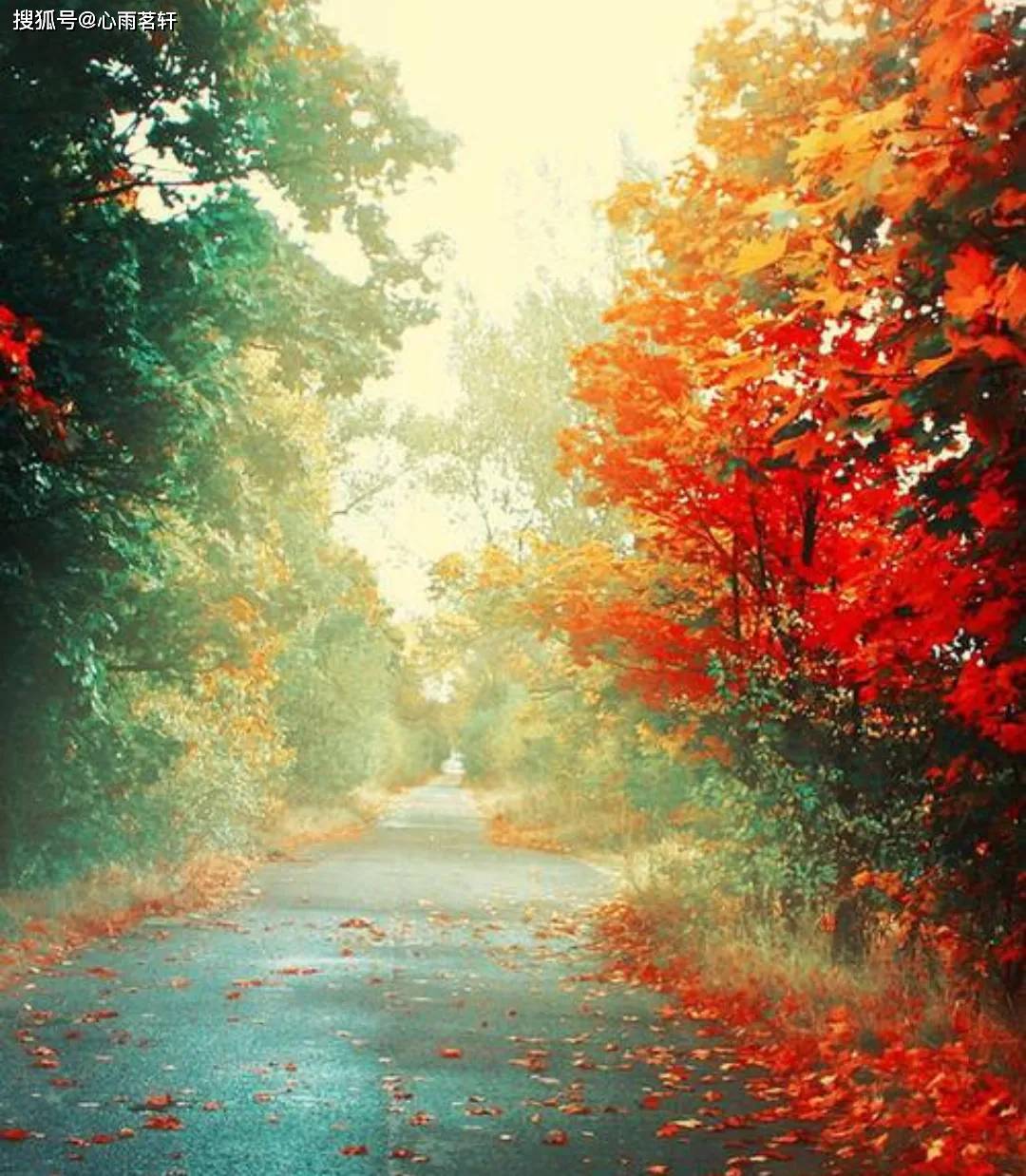 原创            双相情感障碍疯狂消费后会后悔吗？