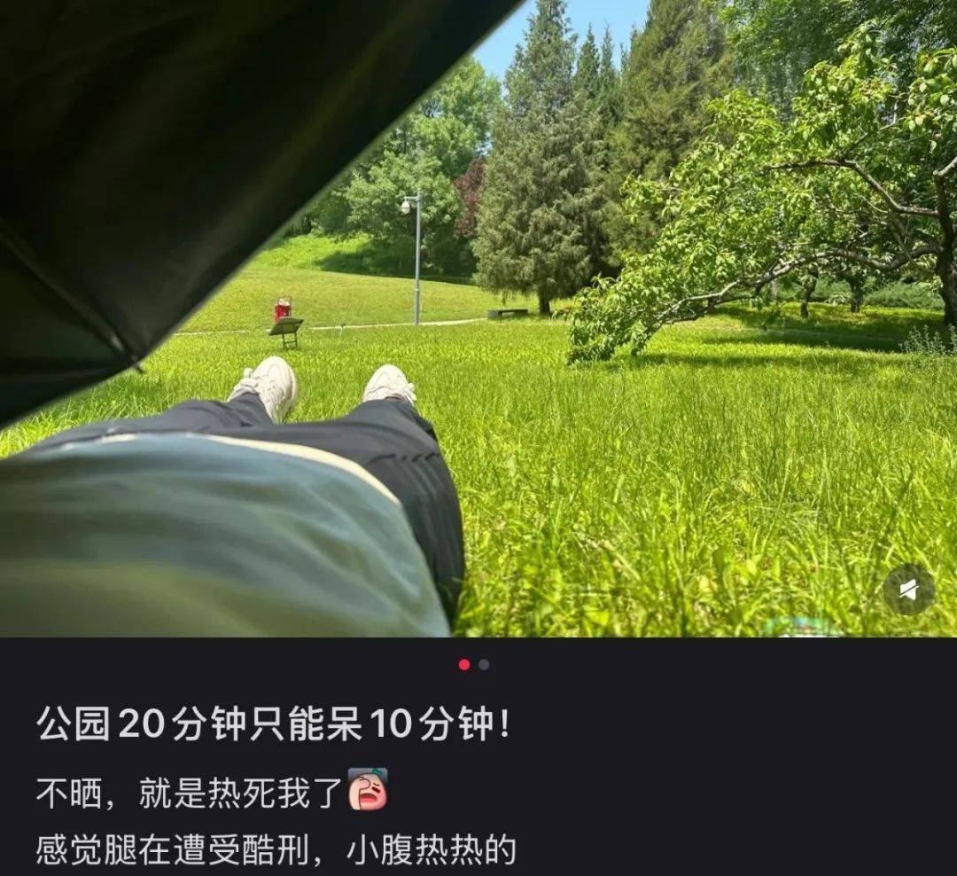 “打工人乐园三件套”，被中产疯抢