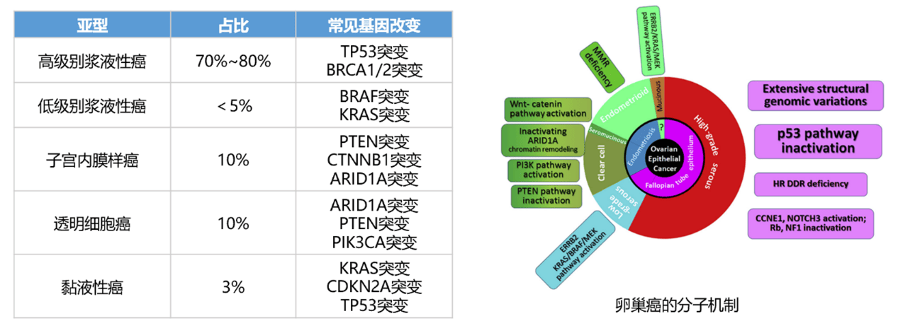 卵巢癌分子检测的临床应用