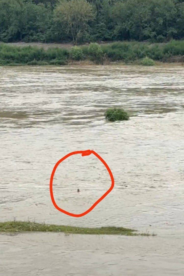 四川广元水电站泄洪致钓鱼男子被冲走，村干部：此前曾多次劝阻，正搜救