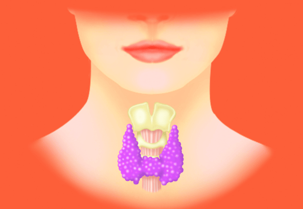 广东华楠甲状腺是正规吗：身体出现这 4 大表现，别当衰老！可能是甲癌预警！