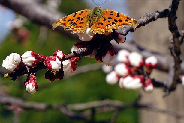 原创            王洪伟：心照不宣（新诗）