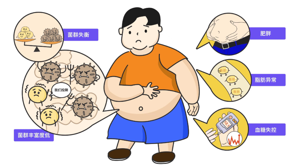 甄轻松：减肥成功的人靠得是靠超强意志力吗?