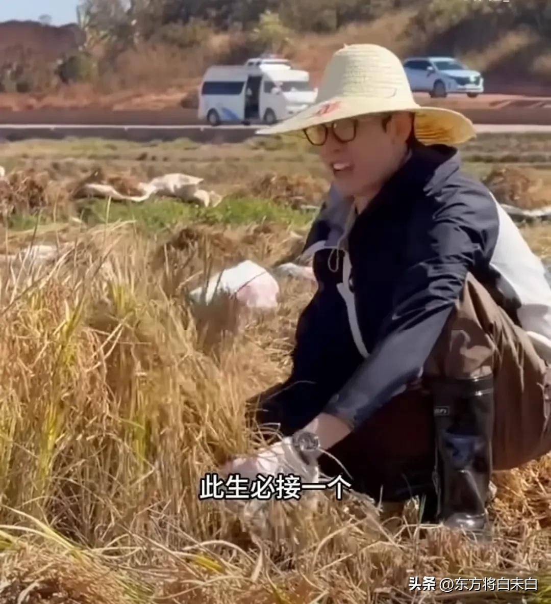 原创            笑翻了！那英在非洲怒骂龚俊经纪人差劲！花少7路透简直太夸张了，家人们！