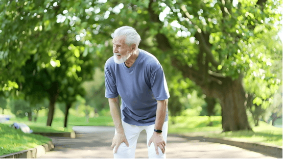 张景龙医生│2种食材煮水喝，脑梗患者的“血管清道夫”通络又护脑