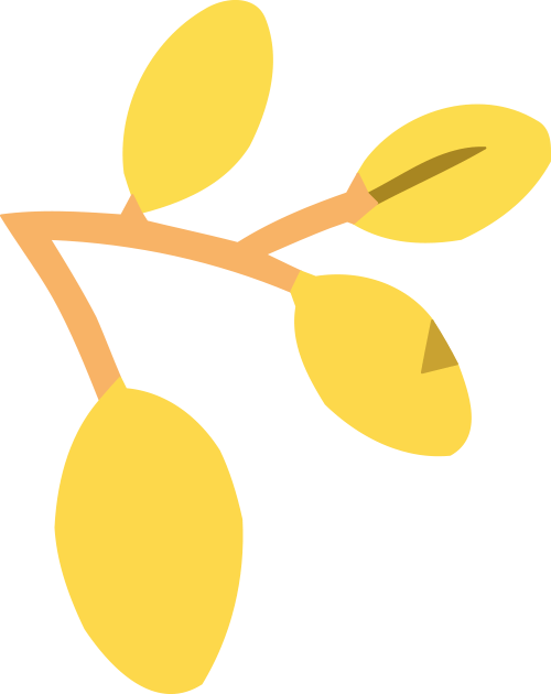 活动报名 | 暑期来图书馆学手艺！陶艺、手绘、扎染… 传统手工活动抢先看