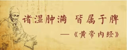 【小暑】炎炎夏日，健脾除湿，避暑护阳——巧用厚朴花化湿理气