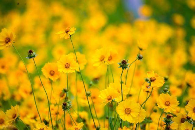一处细节，说明男人真的非常爱你