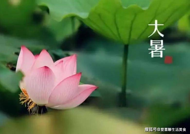 原创            7月22大暑，记得吃3瓜，喝3汤，咬3根，清热排毒，轻松度过三伏天！