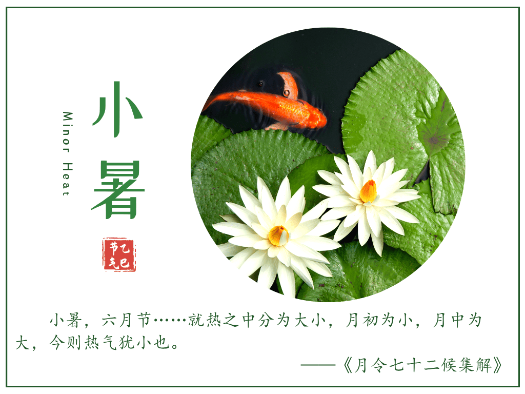 乙巳小暑，风伴湿热