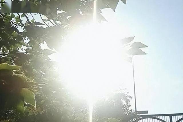 三伏天将至，医生叮嘱高血压患者：宁可坚持散步，也别频繁做4事