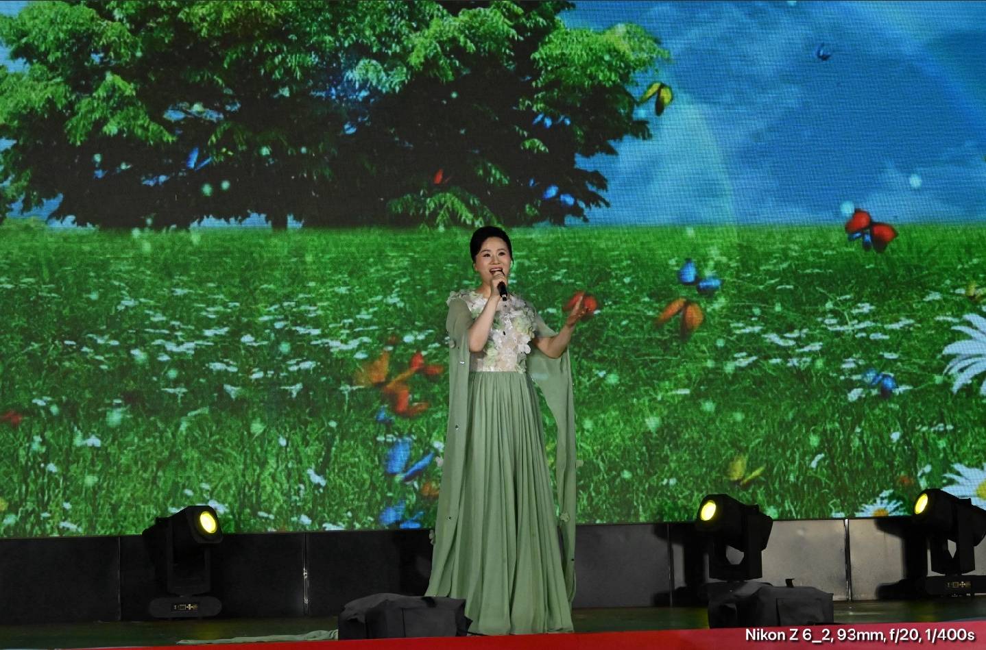 老来潮音乐节全国巡演临沂站 暨 王雅宁助老公益演唱会