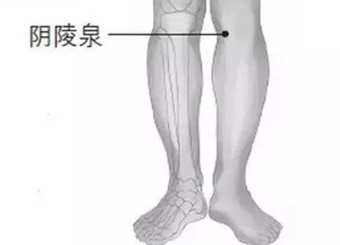 人体两个“祛湿口”，一个化湿、一个排湿~