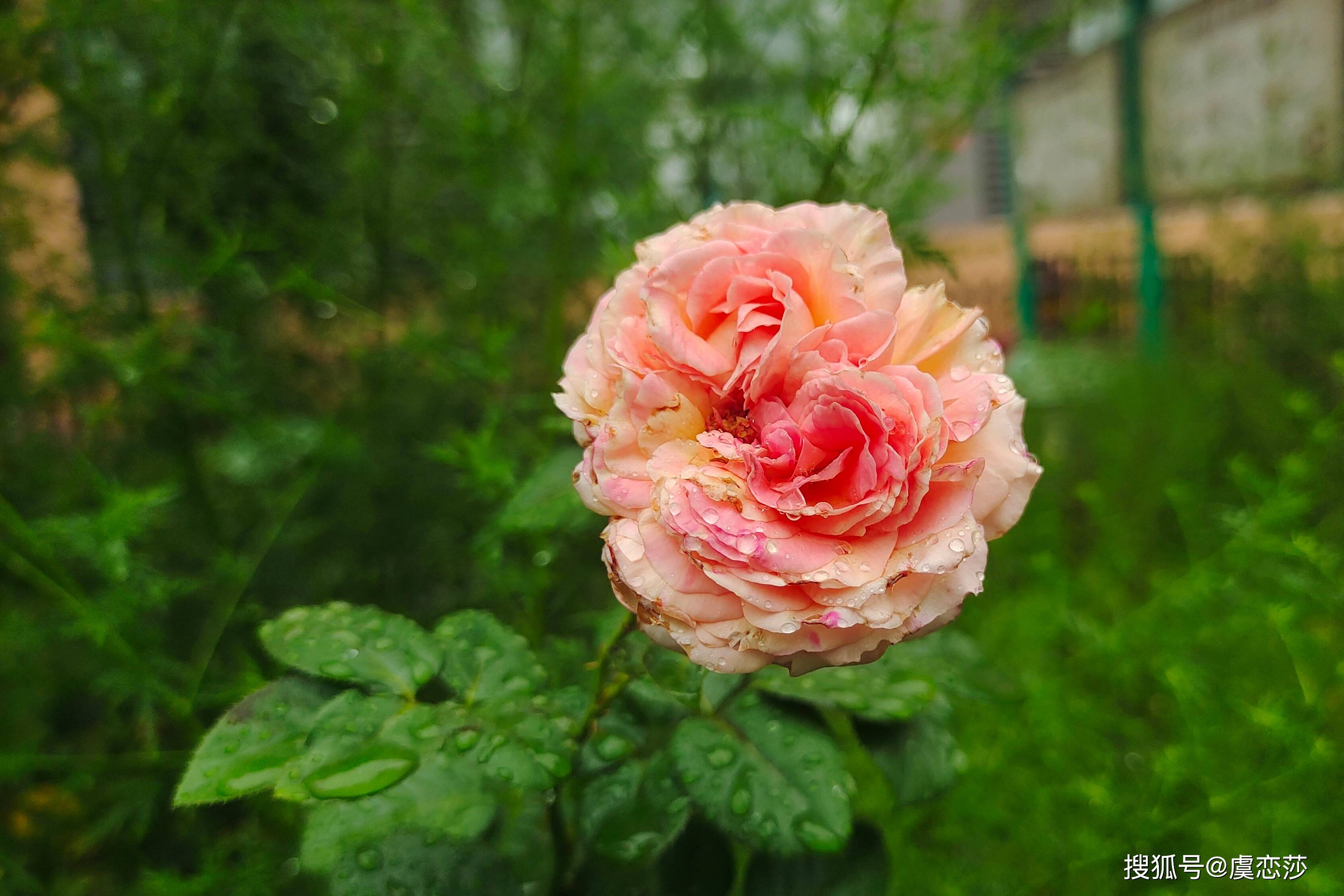 异性关系里，只想追求“感觉”的男人，多数有以下三个特征