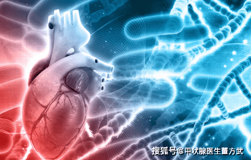 甲状腺与心血管健康，牵一发而动全身